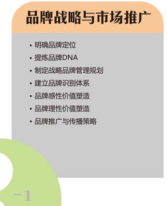 品牌战略与市场推广 品牌战略与市场推广